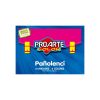 Carpeta Arte Proarte Block Pañolenci